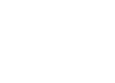 Southern Fuegos